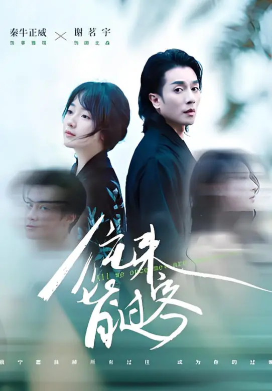 《往来皆过客》：情感的迷宫，谁不是在别人的故事里，看到了自己的影子？