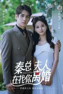 《秦总，夫人在找你离婚》：豪门恩怨上演千金一掷，渣男回头金不换？