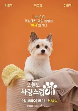 《今天也很可爱的狗》：笑掉大牙的搞笑剧，这闪婚后剧情也太刺激了吧！